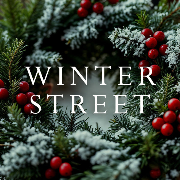 Winter Street Holidays